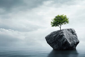 Resilienz